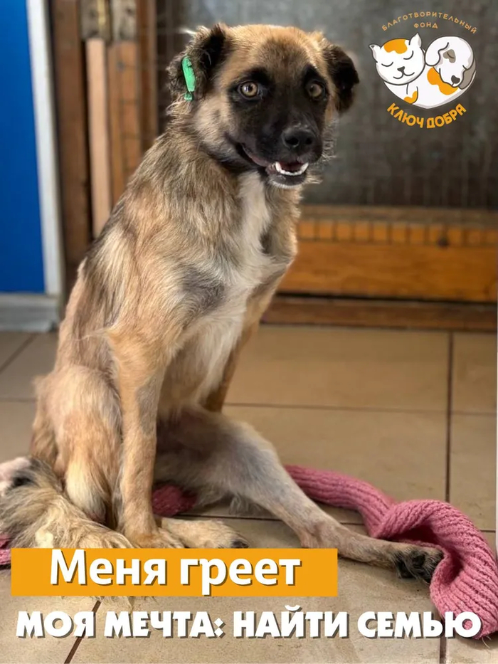 ����� user11494416 � �����, � ������ ����������� ���, �� �� ���������?!�