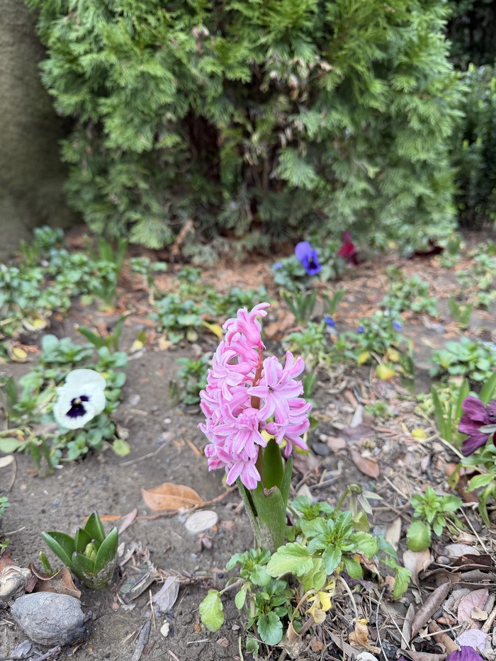 �������