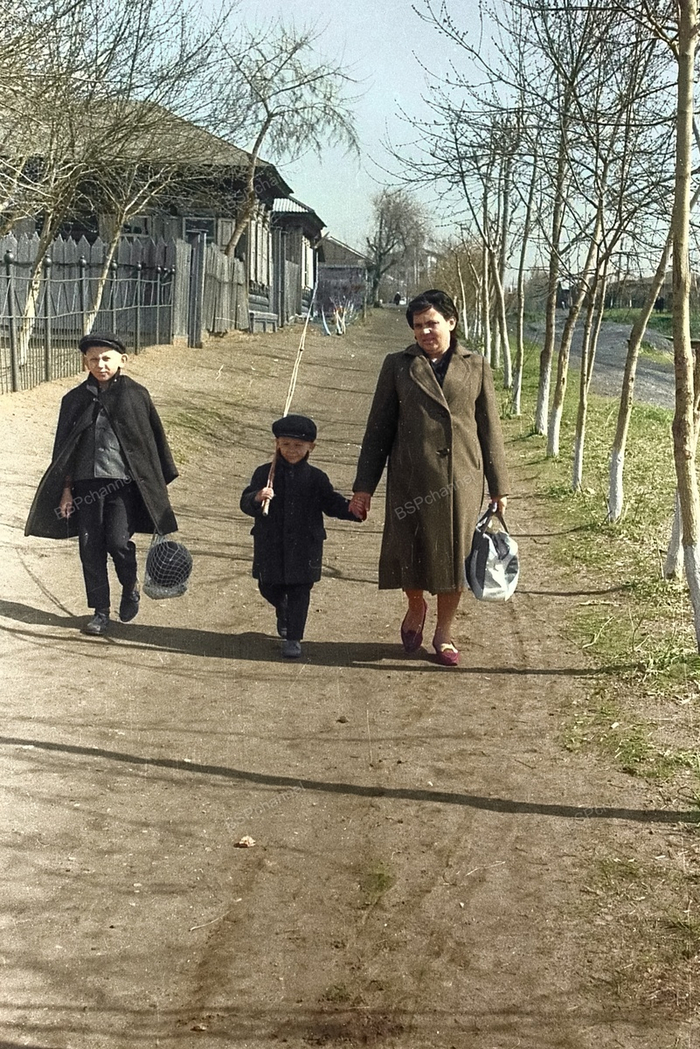 �����: ������ ���������� ������