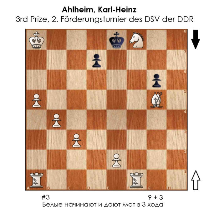 ������������ #241