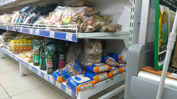 ����� �� ���� ���������