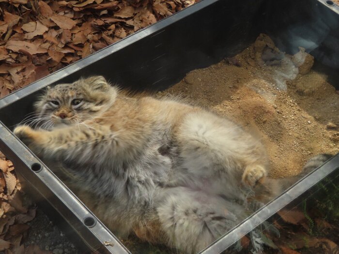 �? ���? ��� ����!?