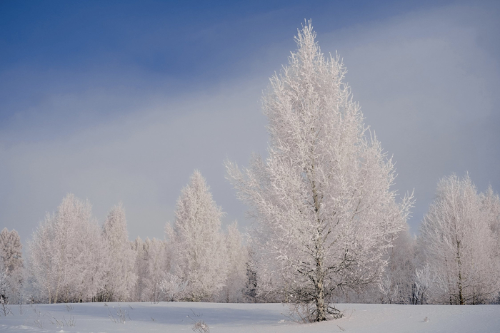 Фото: Юлия Андреева <a href="https://pikabu.ru/story/belaya_beryoza_13726556?u=https%3A%2F%2Frtraveler.ru%2Fphoto%2F1481635%2F%3Fnew_photos%3D1&t=%D0%BE%D1%82%D1%81%D1%8E%D0%B4%D0%B0&h=486013b033dd4db68a18ac2e6526fca32094fec9" title="https://rtraveler.ru/photo/1481635/?new_photos=1" target="_blank" rel="nofollow noopener">отсюда</a>