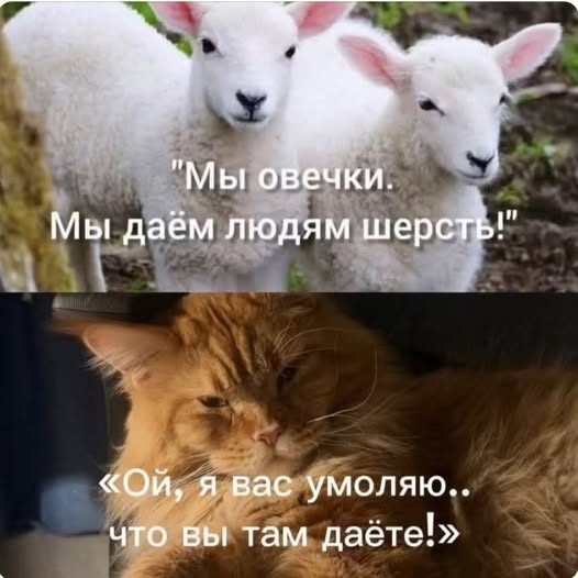 �������� �� ��� ������)