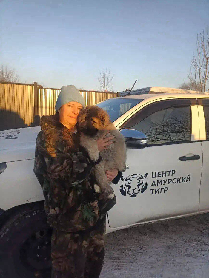 ������ � � �����, � � ������