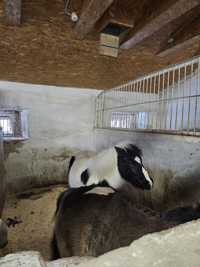 ���� ���� ����