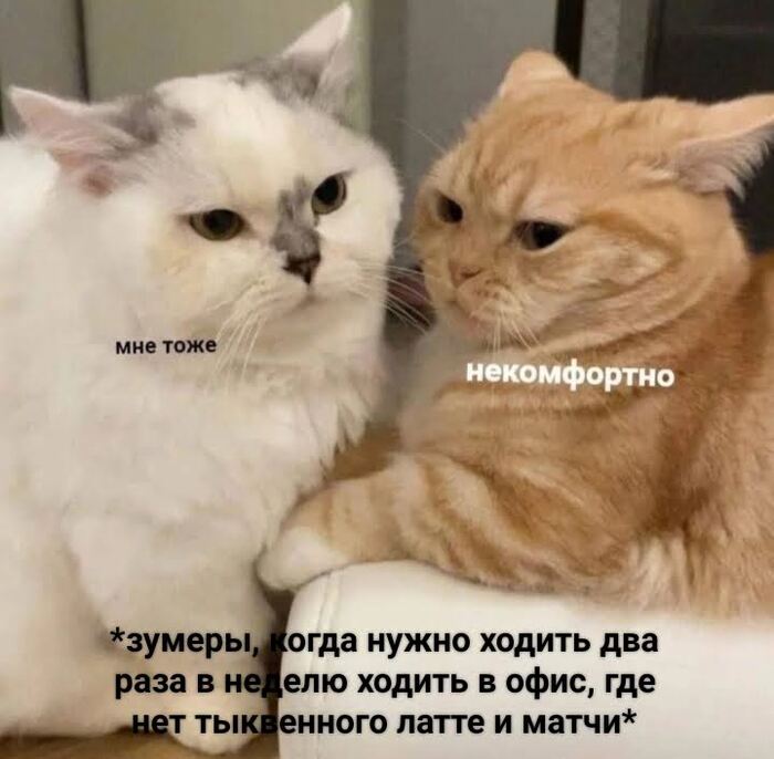 ��������� ������  vs ��������� ���� �� ��������� � �����: ������ ��� ����� ������ � ��� � ���� ����