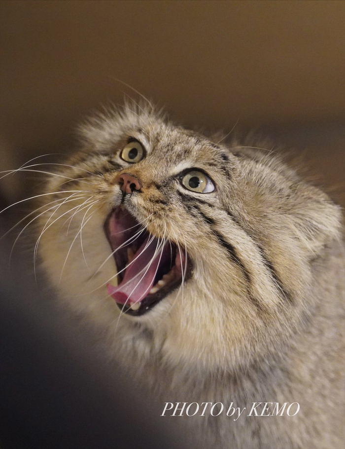 ПОМОГИТЕ!!!!