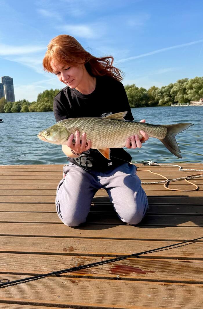 ����� ������� �� �������, �� ���������� ������� ��� ������ ����� �������. �� ��-�� ���������� �����.