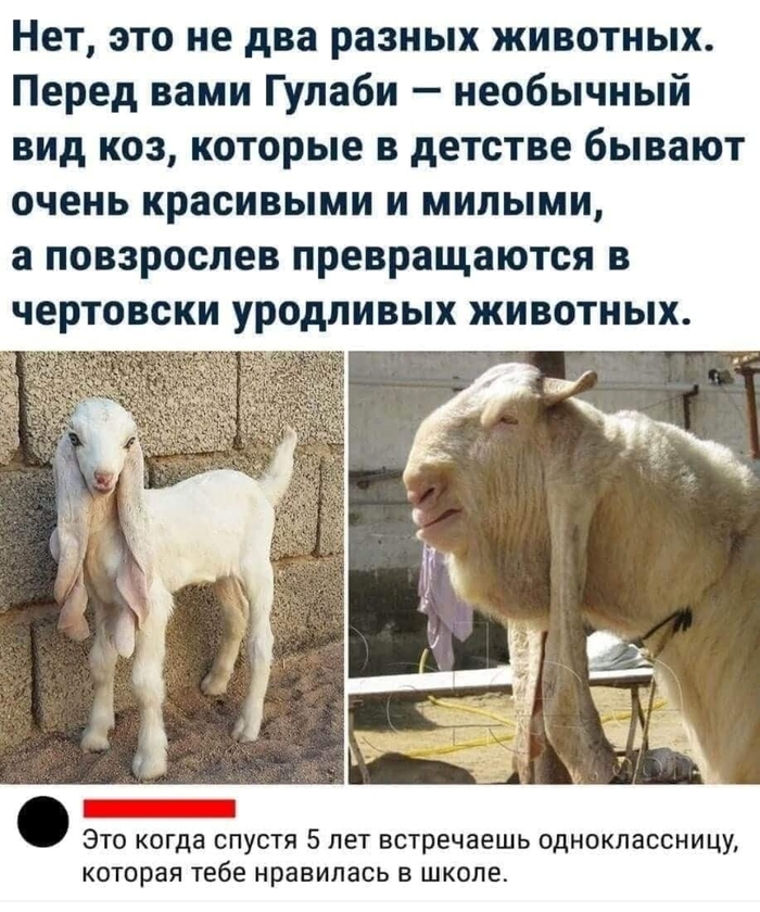 � ��� ������...