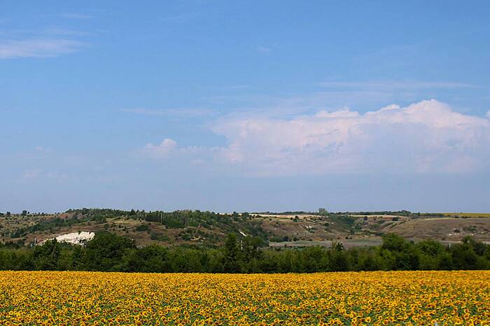 � �� ������ �������� ����