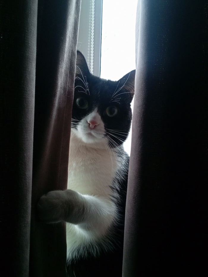 ��������� ������������� ����, ����� ������������