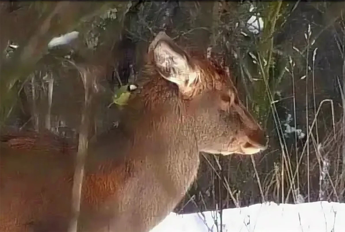 ���� ��� ��������� ����� ������, ��������, ���� ��������� � ������.