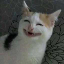 user11611045