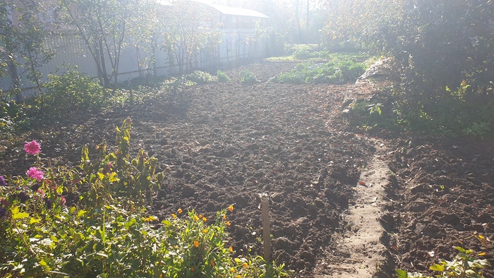 ��� � �� ���� ������, � ��� ����� ����, ������������ ����� � ����� ������ :)