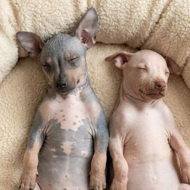 ���������, ������ ����� ����� ������� ���� (������ �������������)