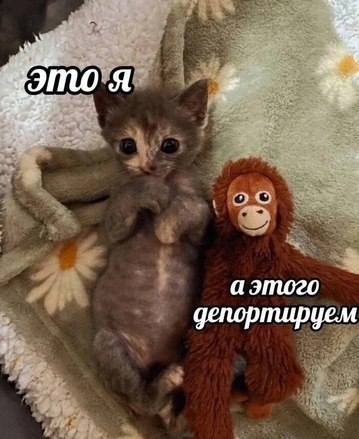 ���� ��...