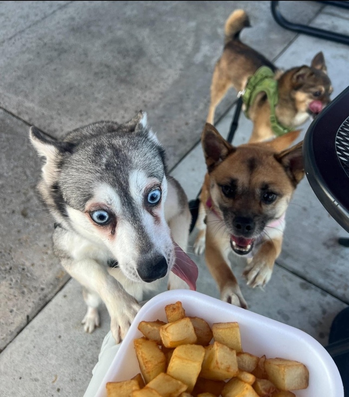 Ты - не ты, когда голоден!