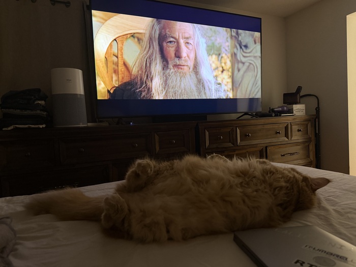 ������� ����������� �������!