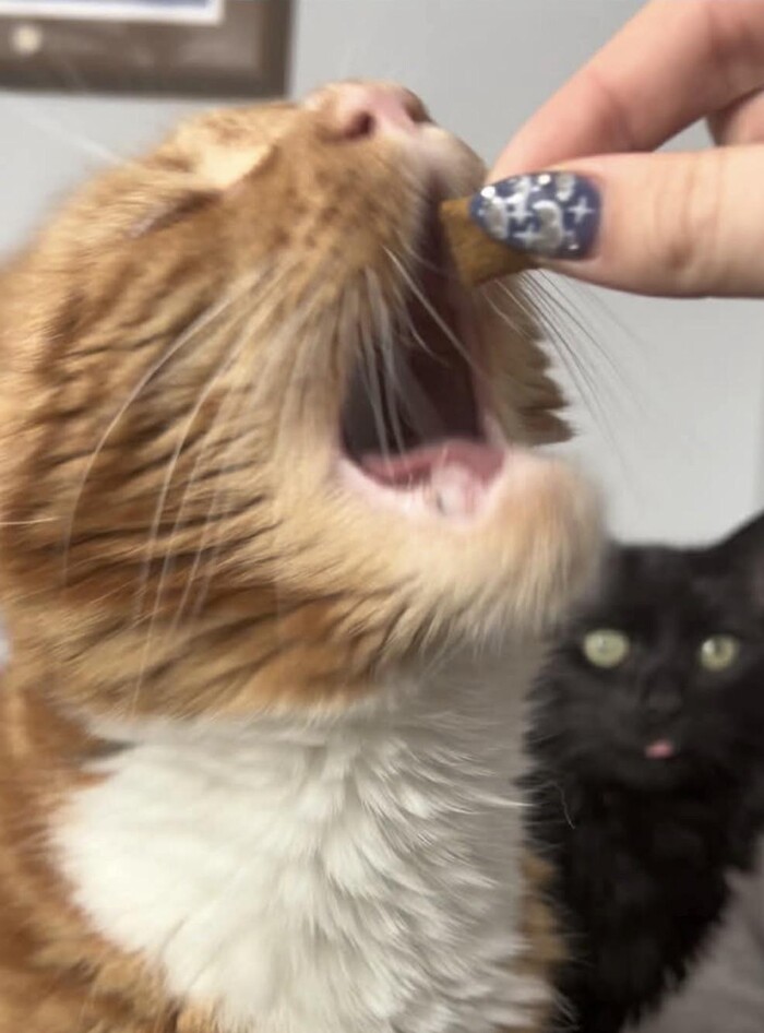 ����� �� - �������� � �����