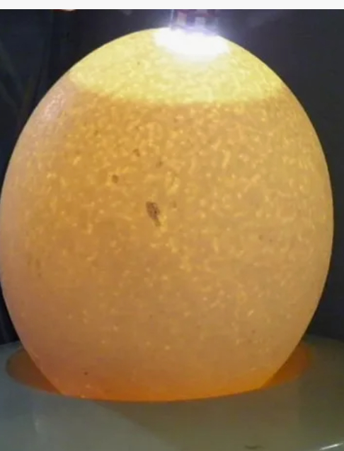 ������������ ������ ��������� ������ ��� ��������� �������� �����. ������ �����, ������ ���� ���� ��� ���� ������.