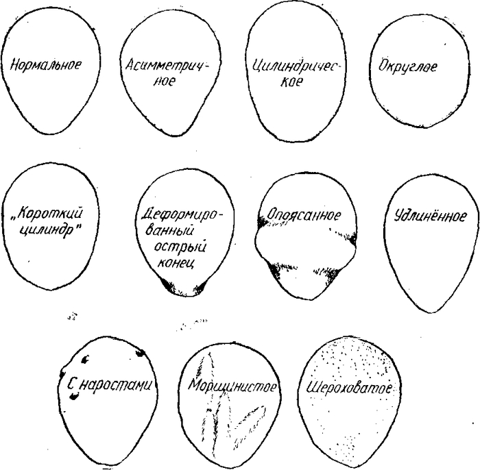 �� ����� ������