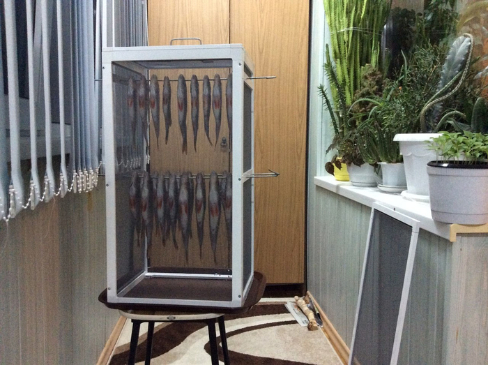 ���-�� ���� ������.