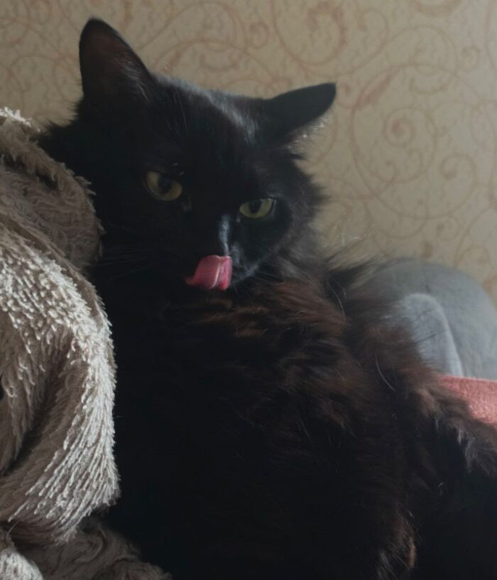 ����� ����������...