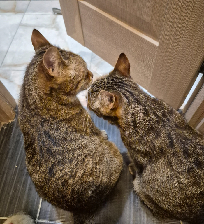 Ласковые и нежные💞