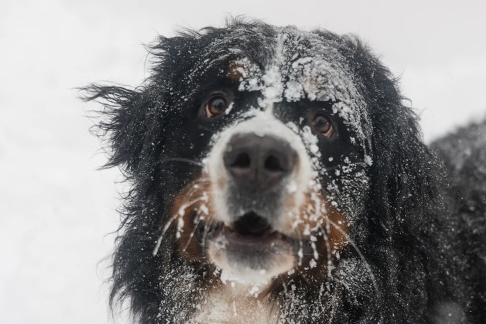 �������� ���� � �������