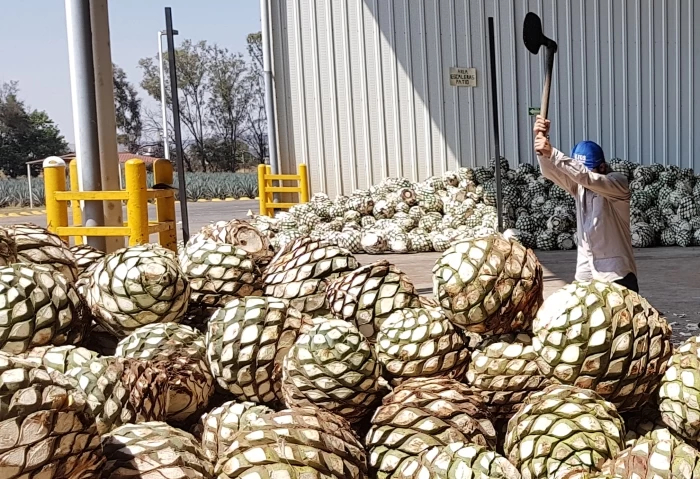 ����������� ����� ��� �������� � ����