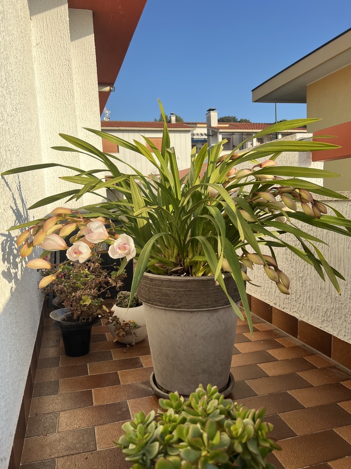 �������� ������ �����!