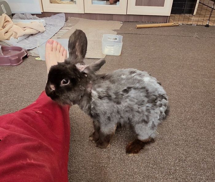 ����, 2 ����