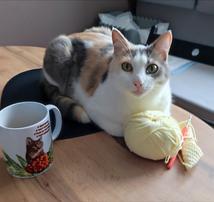 ������ ��� � �������