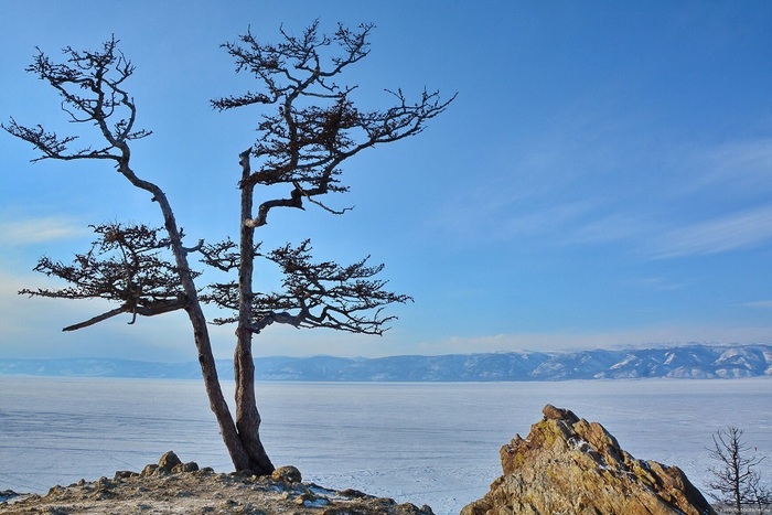 ����� ������� (��� ������). ����: ������ �������