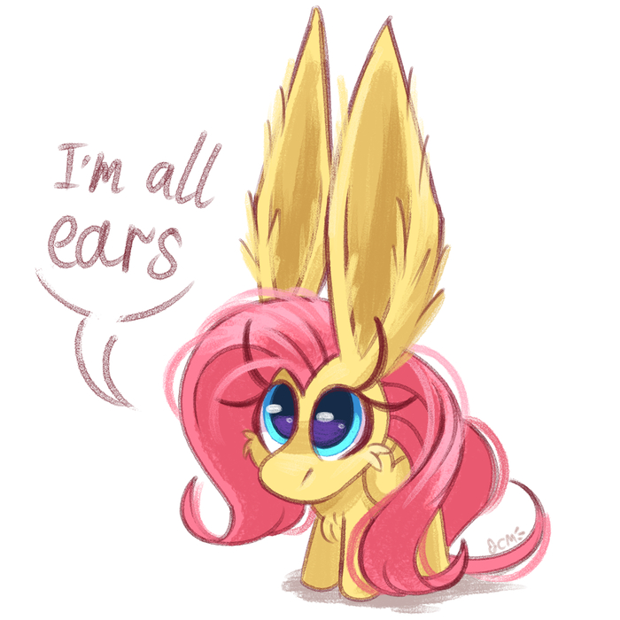 ���� �� �������