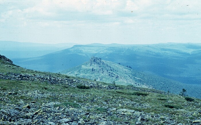 ������� �����-����� � ������� �������.