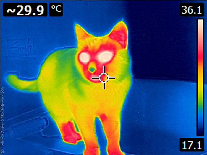 ��� ��� �������� ����� �� ������ ���������.