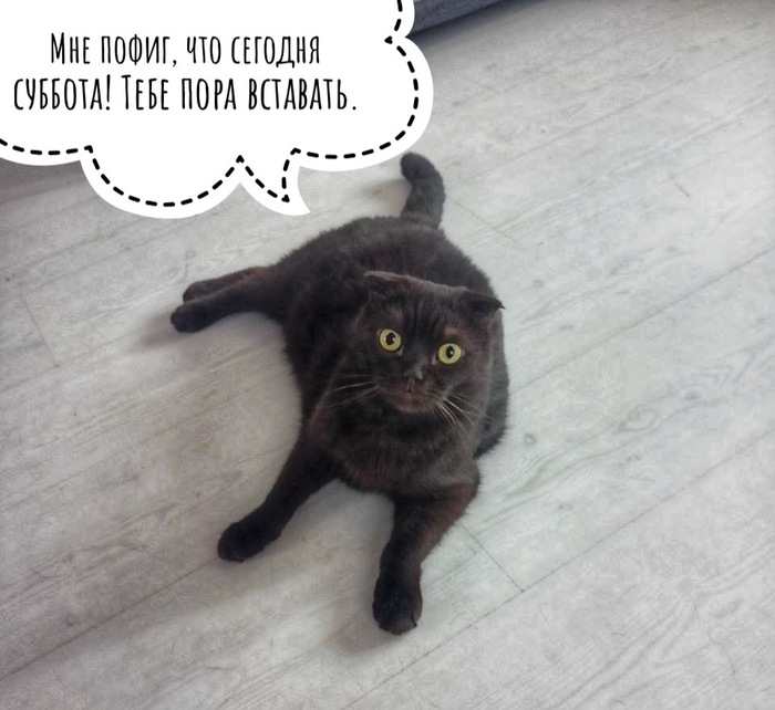 ����� ���� ���������� ������ ������� ))