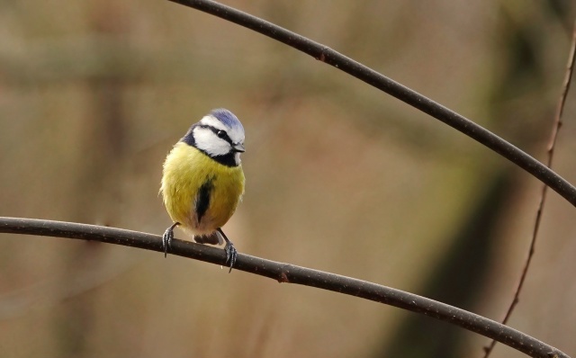 ��� ������� � ����������, ����� � ��� � ����, �� �� ������������� �����, ��� ����� � ���� ������ � ������ ���� �� �� ��� ��������.