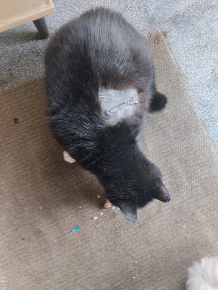 ������ �� �� �����