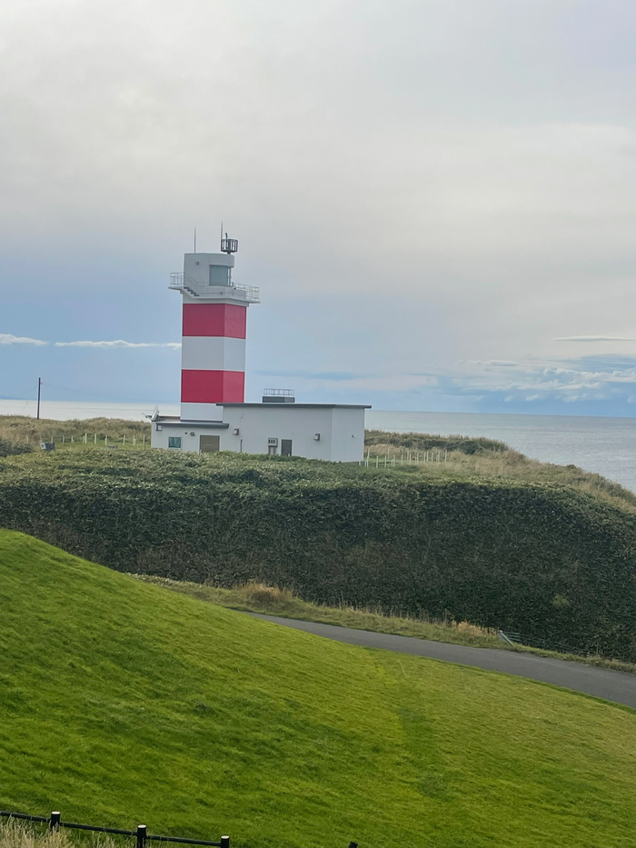 ���� ����������� 