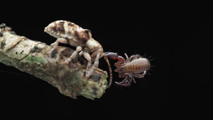 �����, ����� � ����� ������ ������������ ��������������. 