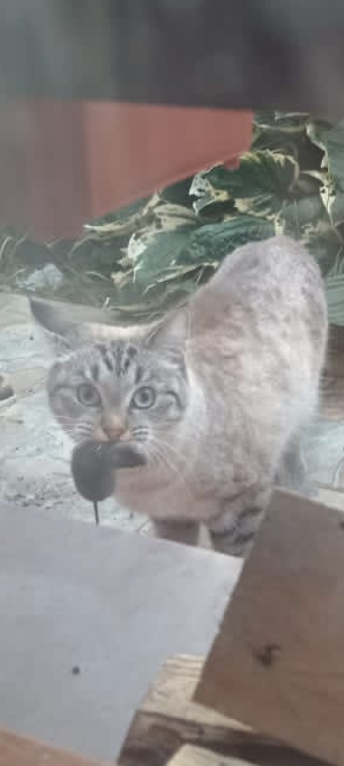 ����� �� ���� �� ������������� ���� ����!!!�