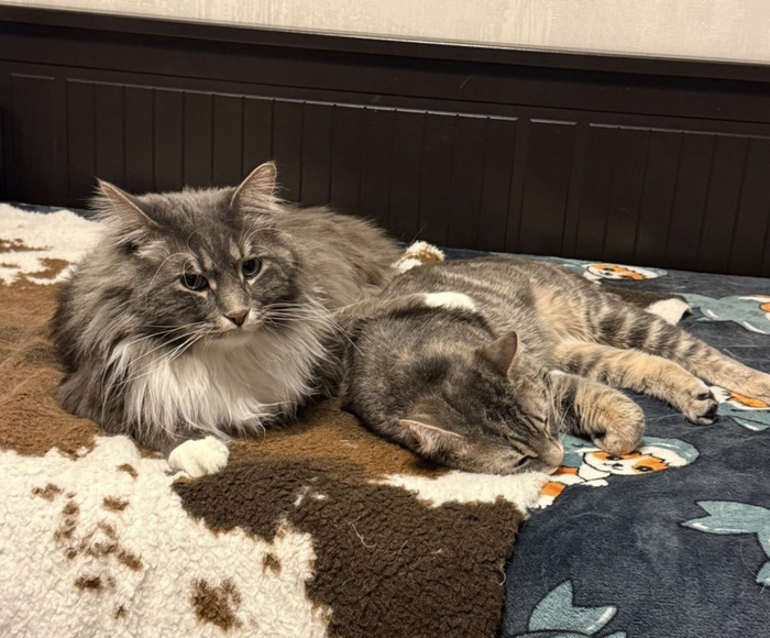 ��� ��� �������!