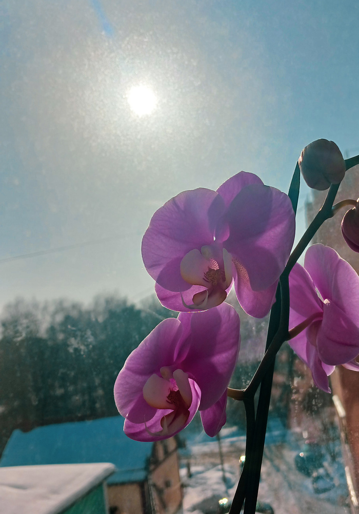 � ������ ���� ����������� �����!!!