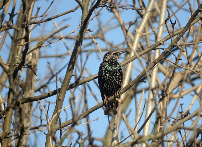 ���� ��������, ��� �� �������� ������, �� �����).