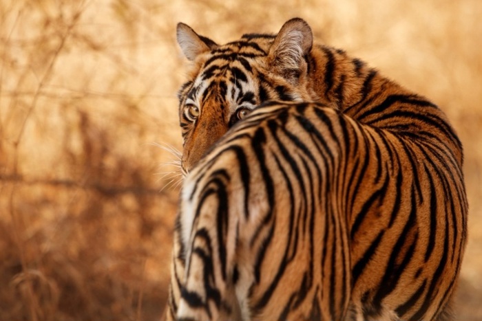 ���������� ���������� �� ������� �����