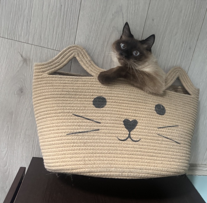 Ваша лодка готова капитан!