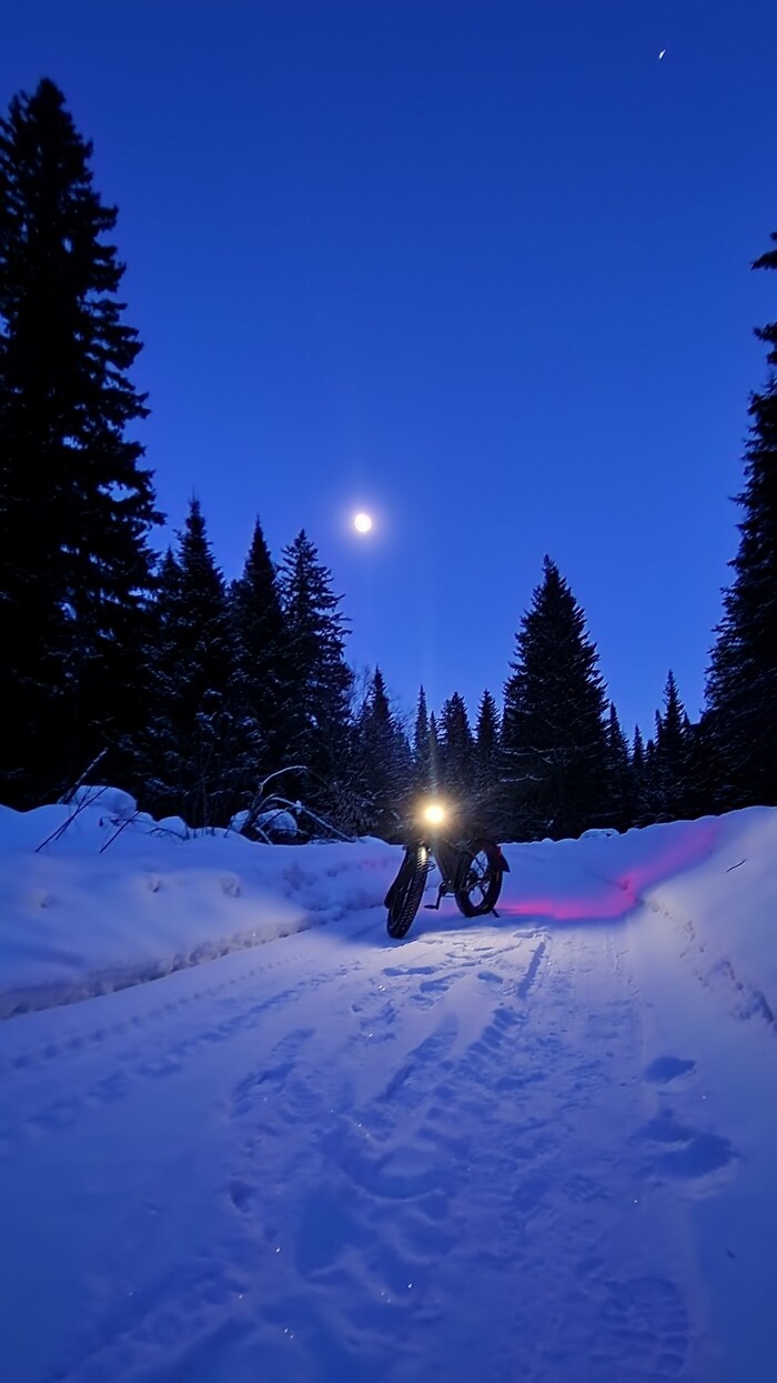 � ������ ���� �����. ���� � ������.